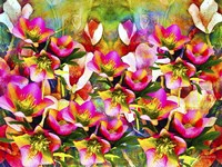 Nature And Colors 2 Fine Art Print