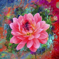 Pink 2 Fine Art Print
