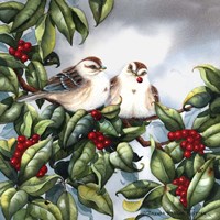 Tree Sparrow Fine Art Print