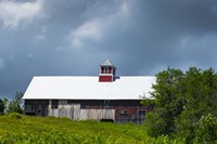 Old Red Barn Fine Art Print