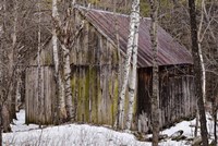 Sharon Barn Fine Art Print