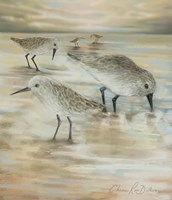 Sandpipers Fine Art Print