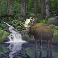 Woodland Moose Fine Art Print