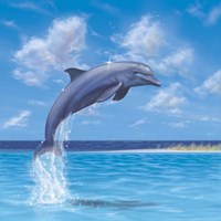 Blue Water Dolphin Fine Art Print