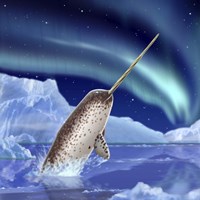 Narwhal and Northern Lights Fine Art Print