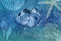 Blue Ocean Crab Fine Art Print