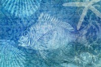 Blue Ocean Fish Fine Art Print