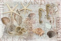 Beach Finds Fine Art Print