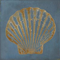 Great Scallop Gold on Blue Framed Print