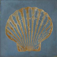 Great Scallop Gold on Blue Fine Art Print