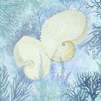 Marine Love Paper Shells Fine Art Print