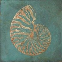 Nautilus Shell Gold on Turquois Fine Art Print