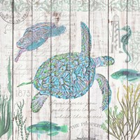 Sea Turtles on Driftwood Panel Fine Art Print
