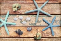 Seaside Memories III Fine Art Print