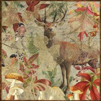 Autumn Deer Fine Art Print