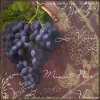 Blue Vines Black Muscat Fine Art Print