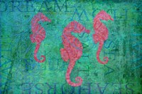 Grace Seahorses Fine Art Print