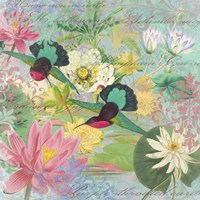 Nyphea Arabesques Fine Art Print