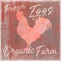 Organic Farm Rooster Framed Print