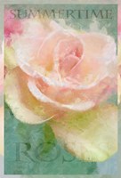 Summertime Roses I Fine Art Print