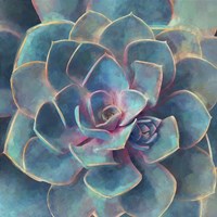 Succulent Beauty I Fine Art Print