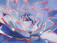 Succulent Beauty III Fine Art Print