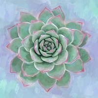 Succulent Painting Fine Art Print