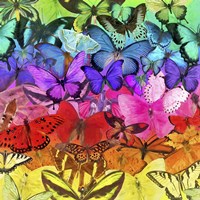 Rainbow of Butterflies Fine Art Print