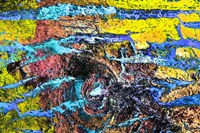 Colorful Bark 11 Fine Art Print