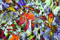 Colorful Foliage 19 Fine Art Print