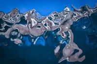 Reflection 5 Fine Art Print