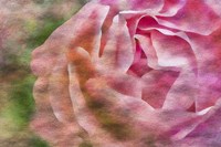 Roses on Canvas 1 Fine Art Print