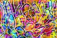 Succulent Dressed in Rainbow Colors 11 Fine Art Print