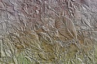 Leaves in Pastel Colors 6 Fine Art Print