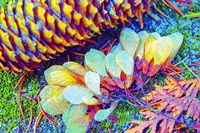 Nature in Rainbow Colors 1 Fine Art Print