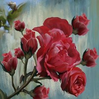 Red Rose Bloom Fine Art Print