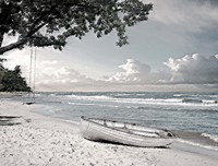 Tree Swing and a Row Boat B Fine Art Print