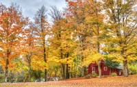 Autumn Cottage Fine Art Print