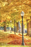 Lamp Post And Leaves Fine Art Print