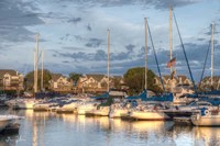 Morning At The Marina Fine Art Print