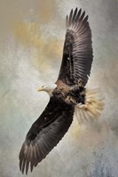 Hirams Arrival Fine Art Print