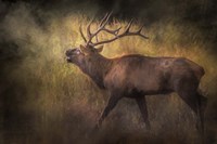 Sound of The Season Fine Art Print