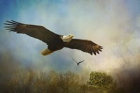 Twice The Power Fine Art Print