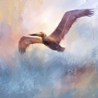 Colorful Flight Fine Art Print