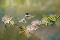 Dance Like Nobodys Watching Fine Art Print