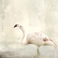 Dressed In White Fine Art Print