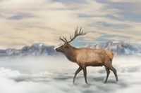 Experience Tranquility Fine Art Print