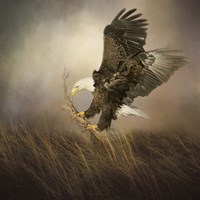 Gathering Grass Fine Art Print