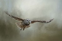 Go Toward The Light Fine Art Print