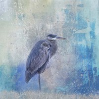 Heron Harmony Fine Art Print